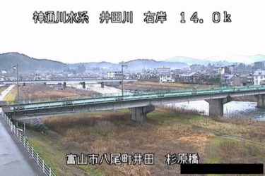 井田川 杉原橋のライブカメラ|富山県富山市