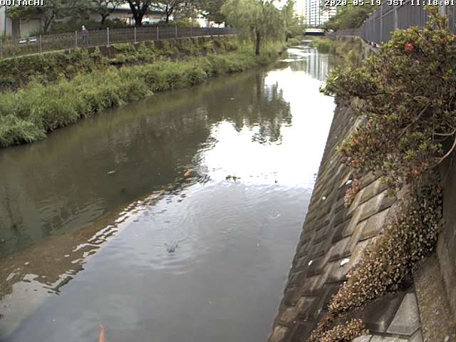 itachigawa-oitachi-bridge_cap.jpg itachigawa-oitachi-bridge_cap.jpg