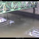神田川 隆慶橋のライブカメラ|東京都新宿区のサムネイル