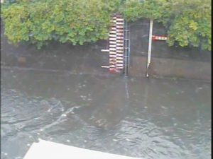 東京都杉並区 神田川 和田見橋（静止画）のライブカメラ
