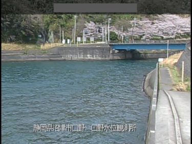 狩野川放水路 口野河口のライブカメラ|静岡県沼津市のサムネイル