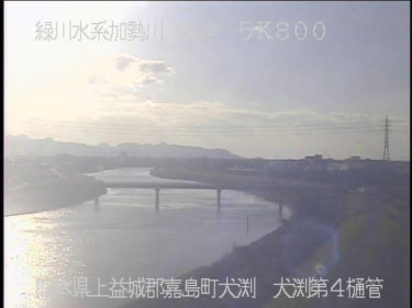 加勢川 犬淵第4樋管のライブカメラ|熊本県熊本市