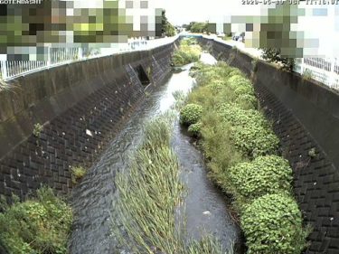 帷子川 御殿橋のライブカメラ|神奈川県横浜市