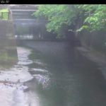 目黒川 宝来橋上流のライブカメラ|東京都目黒区のサムネイル