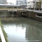 目黒川 市場橋のライブカメラ|東京都品川区のサムネイル