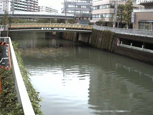 目黒川 市場橋のライブカメラ|東京都品川区のサムネイル