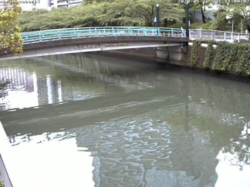目黒川 森永橋のライブカメラ|東京都品川区のサムネイル