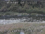 緑川 井戸江峡キャンプ場のライブカメラ|熊本県甲佐町のサムネイル