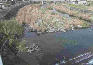 熊本県人吉市 胸川 西間上町のライブカメラ