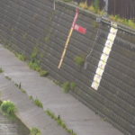妙正寺川 双鷺橋のライブカメラ|東京都中野区のサムネイル