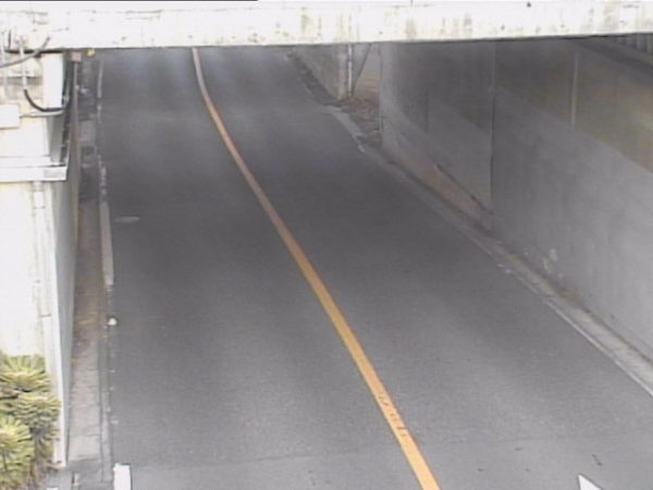 nagoya-road-nishimarune_cap.jpg nagoya-road-nishimarune_cap.jpg