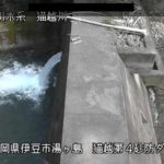 猫越川 猫越第４砂防ダムのライブカメラ|静岡県伊豆市のサムネイル