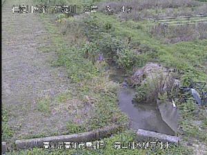 高知県高知市 仁淀川 森山排水樋管外水のライブカメラ