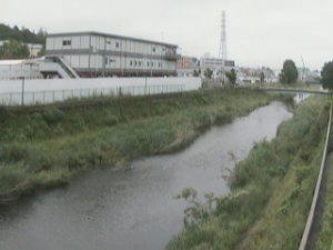 東京都世田谷区 野川 雁追橋のライブカメラ