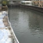 呑川 夫婦橋上流のライブカメラ|東京都大田区のサムネイル