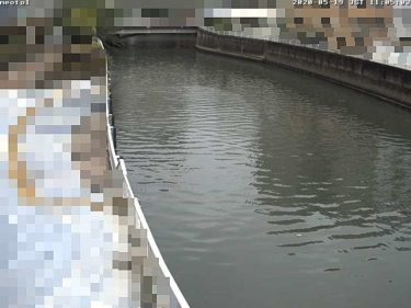 呑川 夫婦橋上流のライブカメラ|東京都大田区