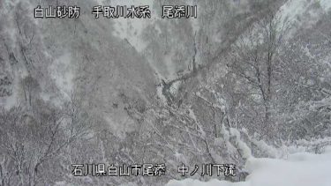 尾添川 中ノ川下流のライブカメラ|石川県白山市のサムネイル