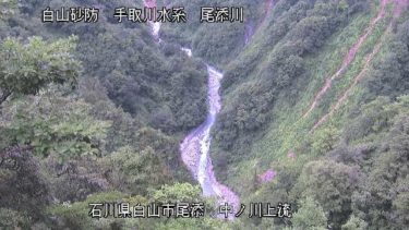 尾添川 中ノ川上流のライブカメラ|石川県白山市のサムネイル