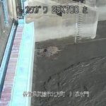 六角川 川添水門のライブカメラ|佐賀県武雄市のサムネイル