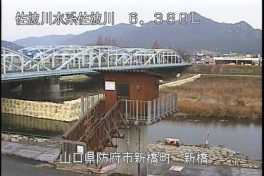 佐波川 新橋のライブカメラ|山口県防府市