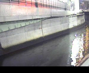 東京都北区 石神井川 溝田橋（北側）のライブカメラ
