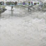 新河岸川 平成橋のライブカメラ|東京都板橋区のサムネイル