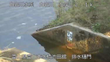 白岩川 水橋池田舘排水樋門のライブカメラ|富山県富山市