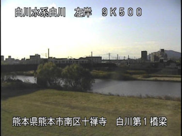 白川 第一橋梁のライブカメラ|熊本県熊本市