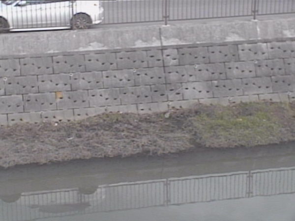 suibagawa-yokoikoen_cap.jpg suibagawa-yokoikoen_cap.jpg