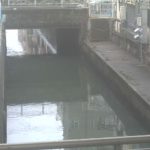 立会川 弁天橋上流側のライブカメラ|東京都品川区のサムネイル