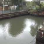 多摩川 六郷水門のライブカメラ|東京都大田区のサムネイル