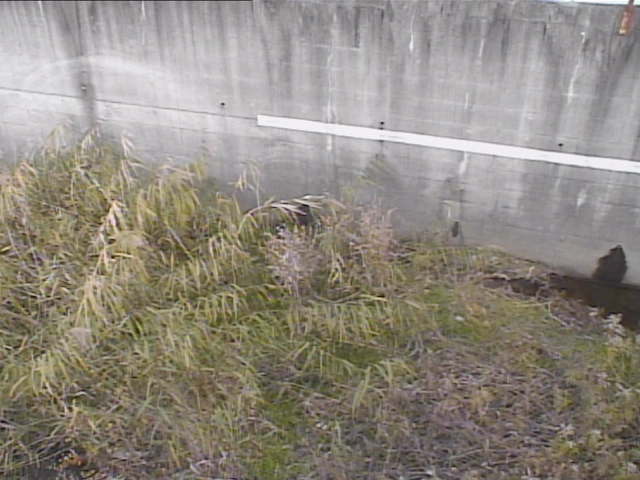 tegoshigawa-hirabunaka-bridge_cap.jpg tegoshigawa-hirabunaka-bridge_cap.jpg