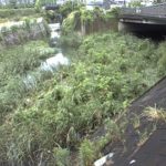 鳥山川 宮原橋のライブカメラ|神奈川県横浜市のサムネイル