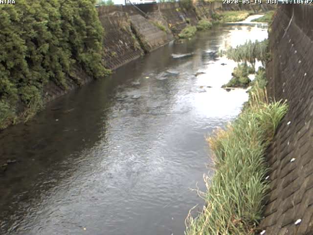 udagawa-nira-bridge_cap.jpg udagawa-nira-bridge_cap.jpg