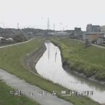 牛渕川 堂山水位観測所のライブカメラ|静岡県菊川市のサムネイル