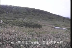 石川県白山市 牛首川 弥陀ヶ原のライブカメラ