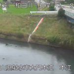 和田川 本江のライブカメラ|富山県射水市のサムネイル