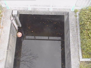 矢田川 大森排水樋門のライブカメラ|愛知県名古屋市のサムネイル