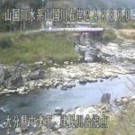 山国川 津民川合流点のライブカメラ|大分県中津市のサムネイル