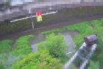 善福寺川 丸山橋局のライブカメラ|東京都杉並区のサムネイル