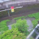善福寺川 丸山橋局のライブカメラ|東京都杉並区のサムネイル