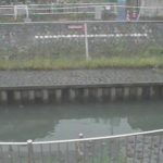 善福寺川 西田端橋のライブカメラ|東京都杉並区のサムネイル