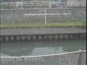 東京都杉並区 善福寺川 西田端橋（静止画）のライブカメラ