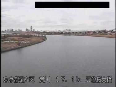荒川 五色桜大橋のライブカメラ|東京都足立区