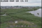 江合川 新江合川分流のライブカメラ|宮城県大崎市のサムネイル