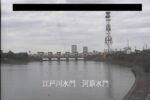 江戸川 江戸川区東篠崎のライブカメラ|千葉県市川市のサムネイル