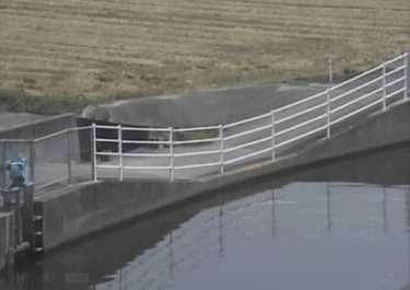福所江 三日月1号排水路放流口のライブカメラ|佐賀県小城市