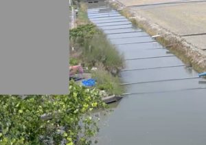 佐賀県小城市 福所江 新村排水路のライブカメラ