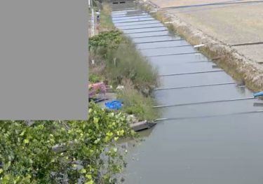 福所江 新村排水路のライブカメラ|佐賀県小城市