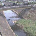 早淵川 鍛冶橋のライブカメラ|神奈川県横浜市のサムネイル